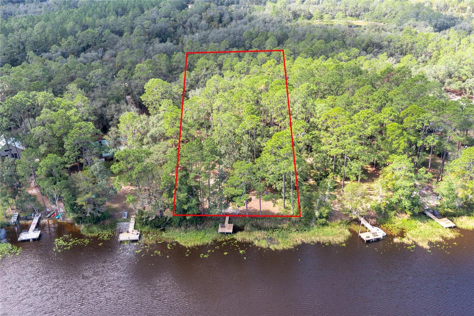 239 RILEY LAKE DR, HAWTHORNE, FL, 32640