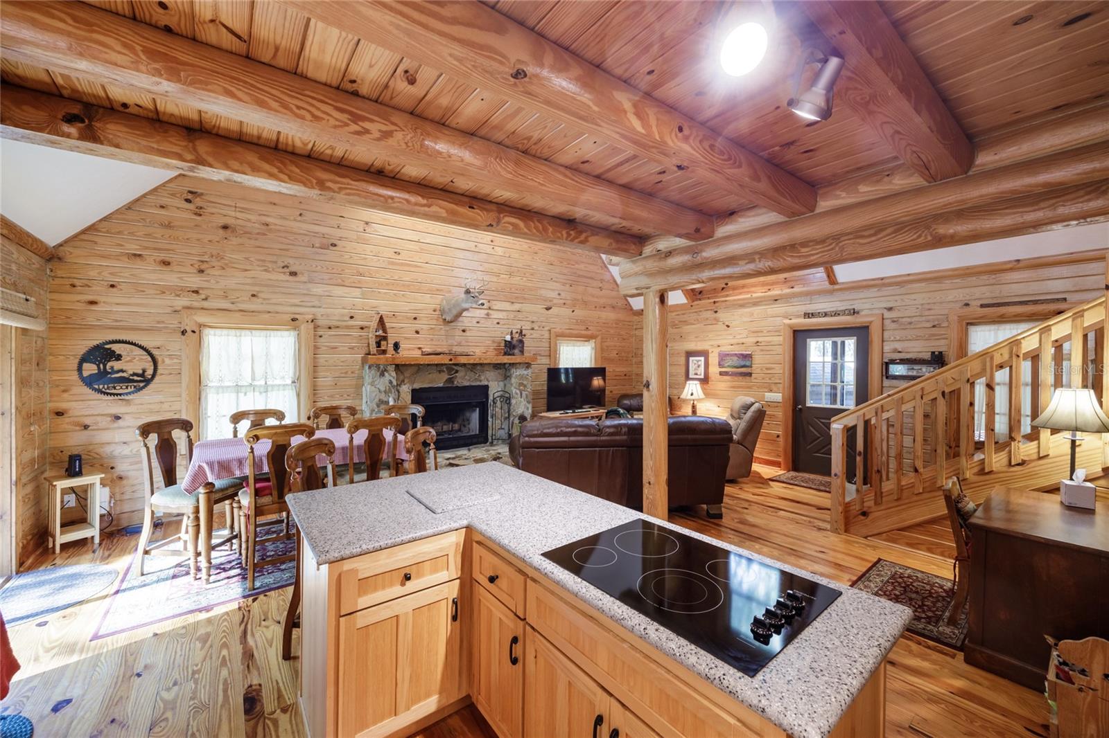 239 RILEY LAKE DR, HAWTHORNE, FL, 32640