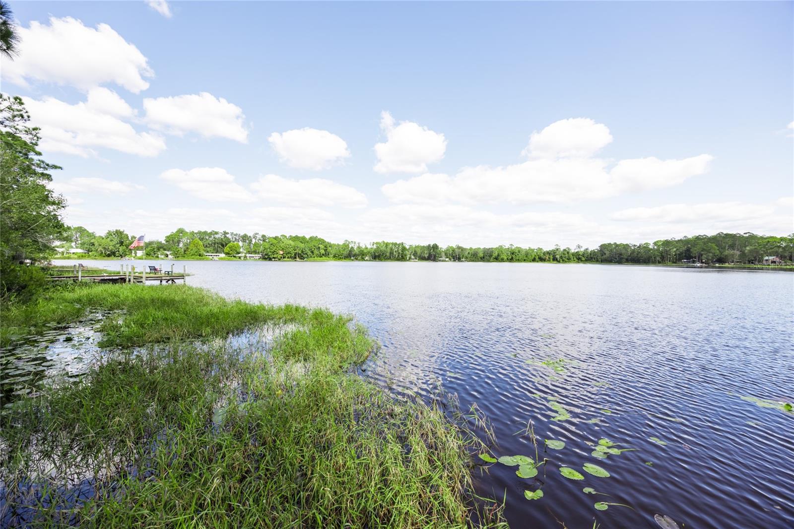 239 RILEY LAKE DR, HAWTHORNE, FL, 32640