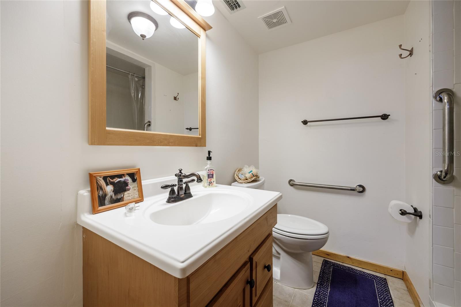 239 RILEY LAKE DR, HAWTHORNE, FL, 32640