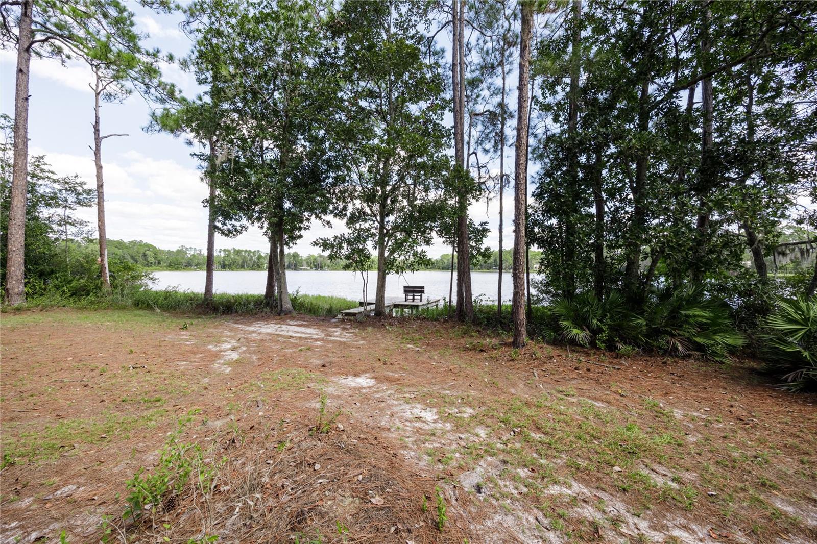 239 RILEY LAKE DR, HAWTHORNE, FL, 32640