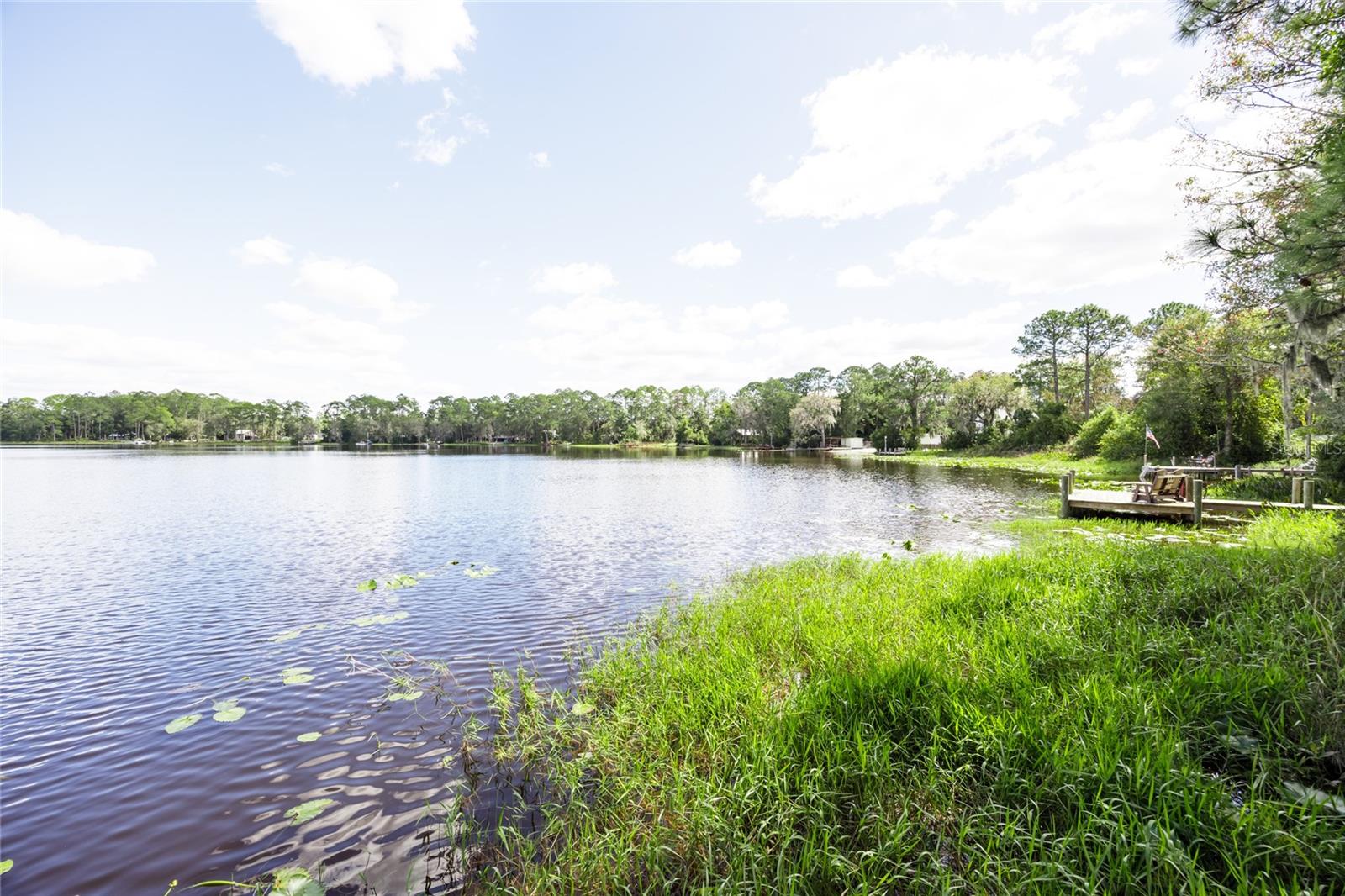 239 RILEY LAKE DR, HAWTHORNE, FL, 32640