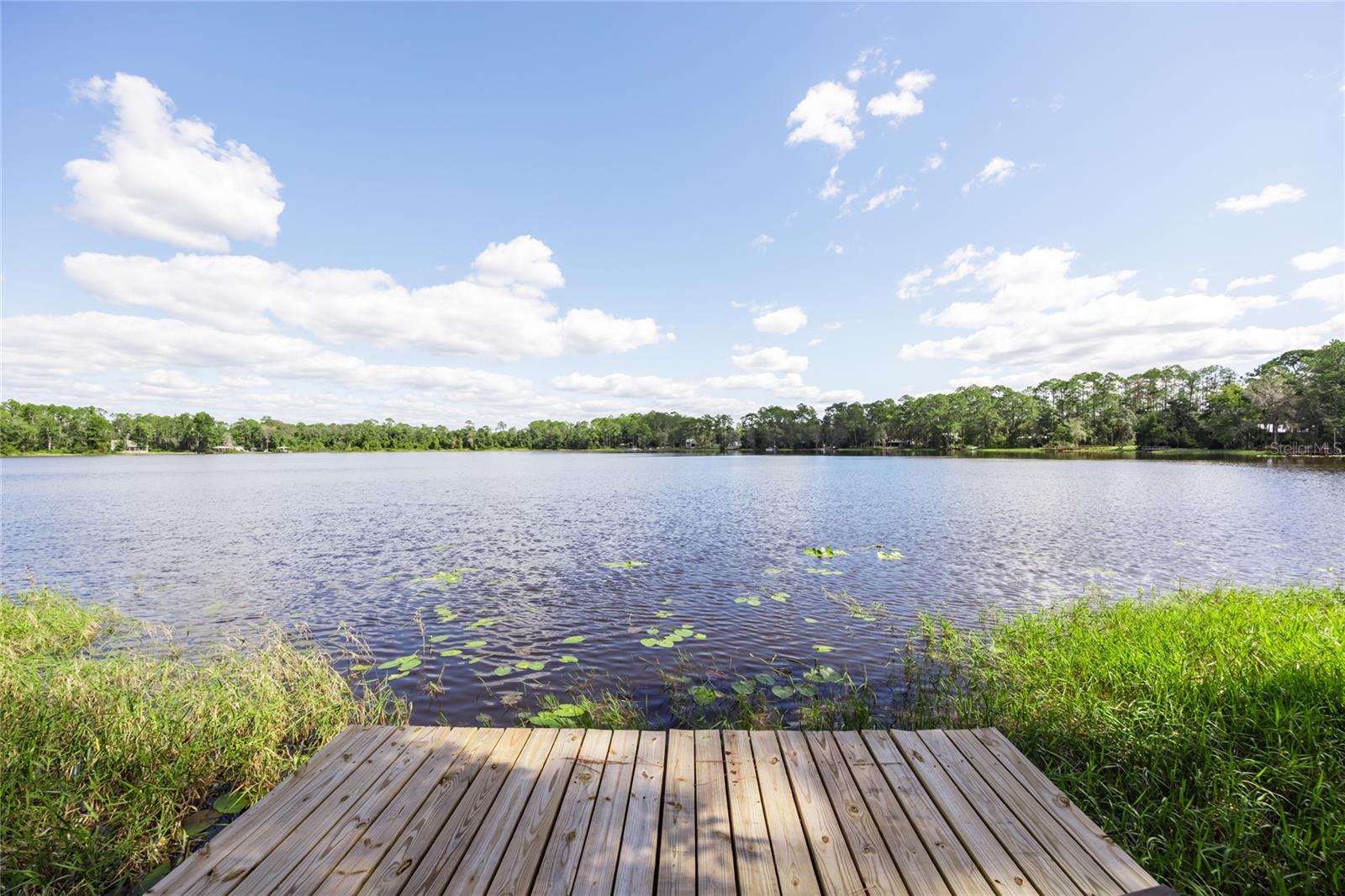 239 RILEY LAKE DR, HAWTHORNE, FL, 32640