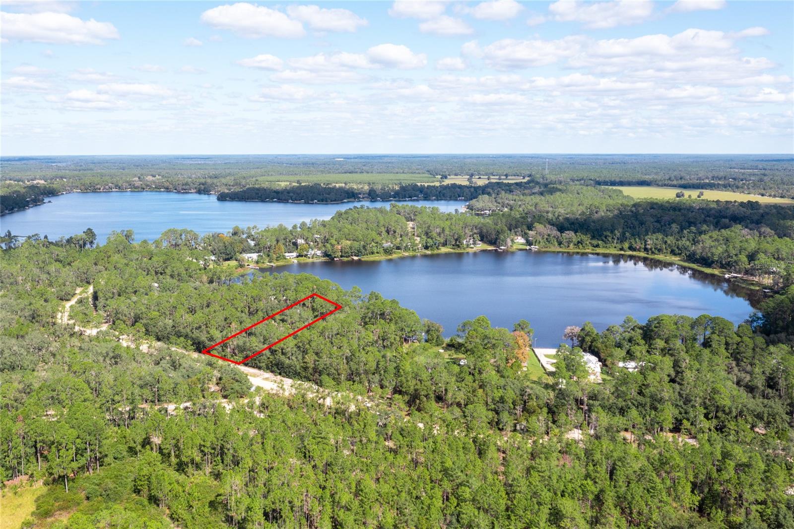 239 RILEY LAKE DR, HAWTHORNE, FL, 32640