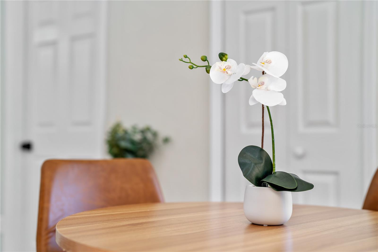 8644 SHENNA CT, ORLANDO, FL, 32818