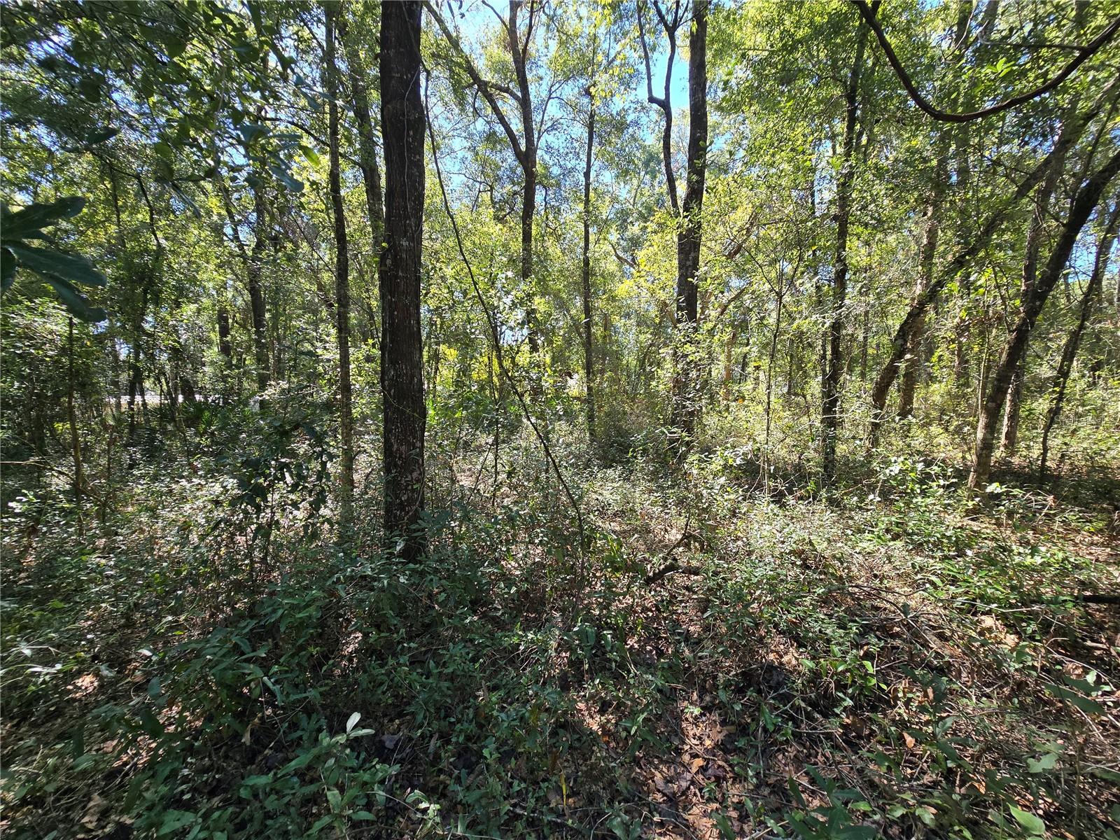 Lot 11 NW 16TH PL, OCALA, FL, 34482