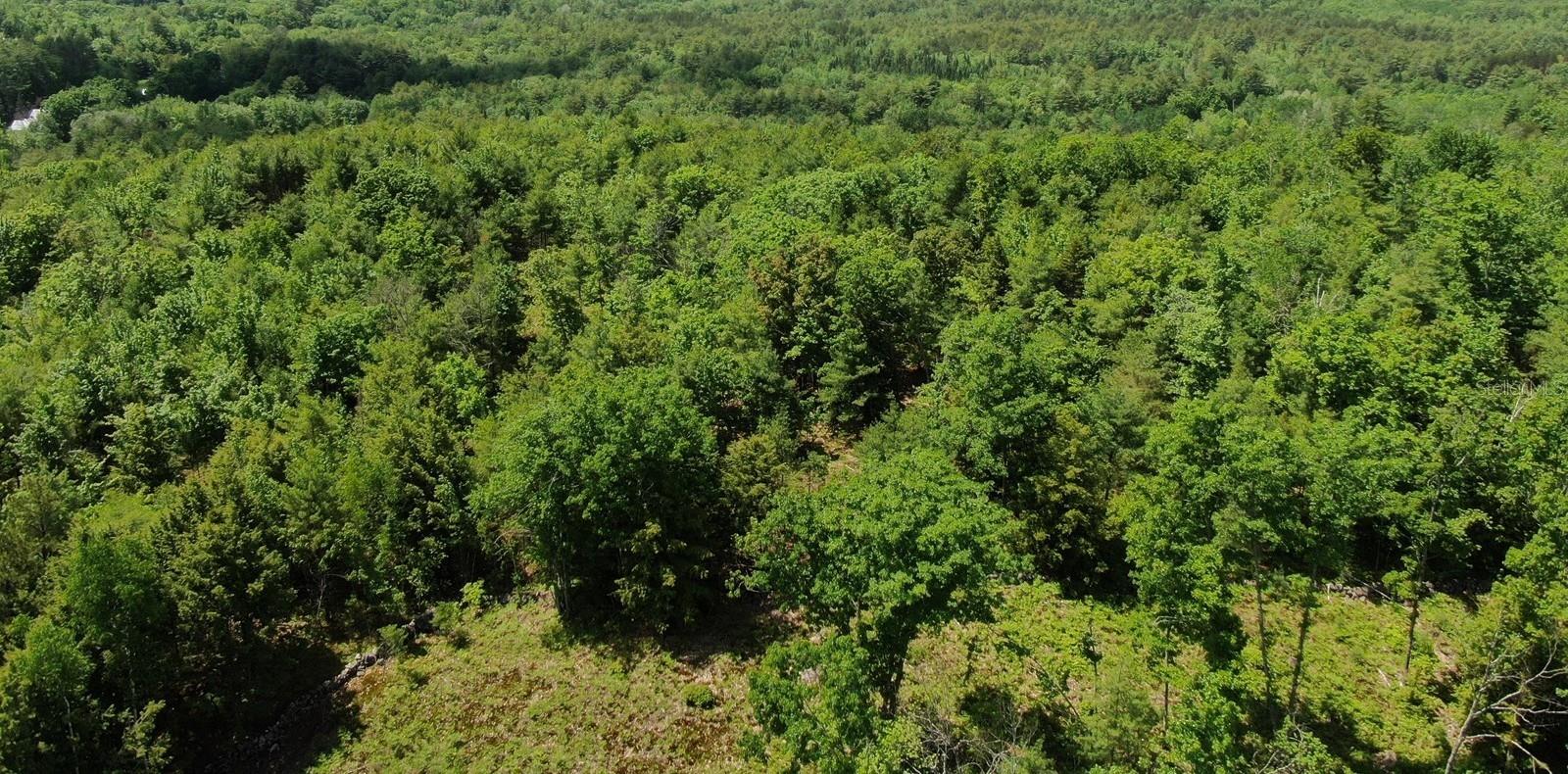 SW 712TH AVE, HORSESHOE BEACH, FL, 32648