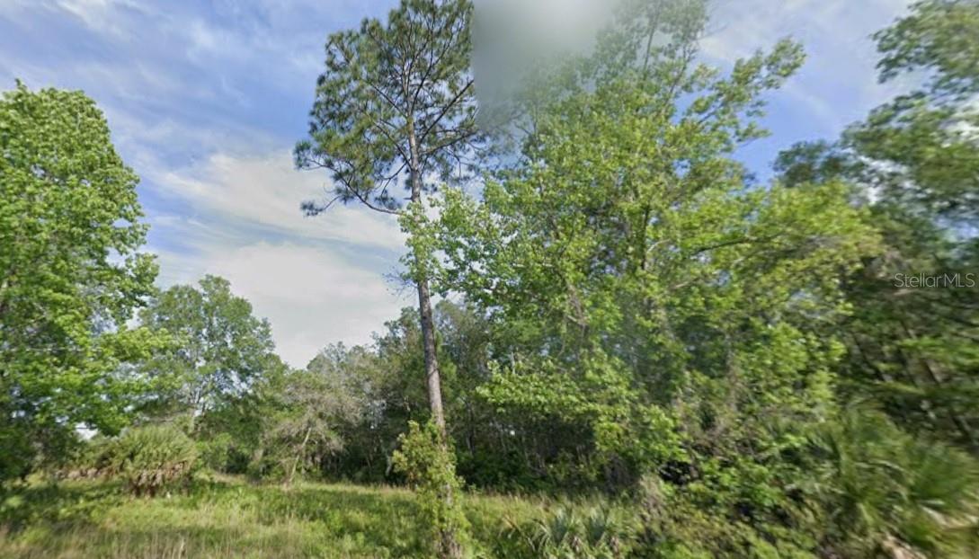 SW 712TH AVE, HORSESHOE BEACH, FL, 32648