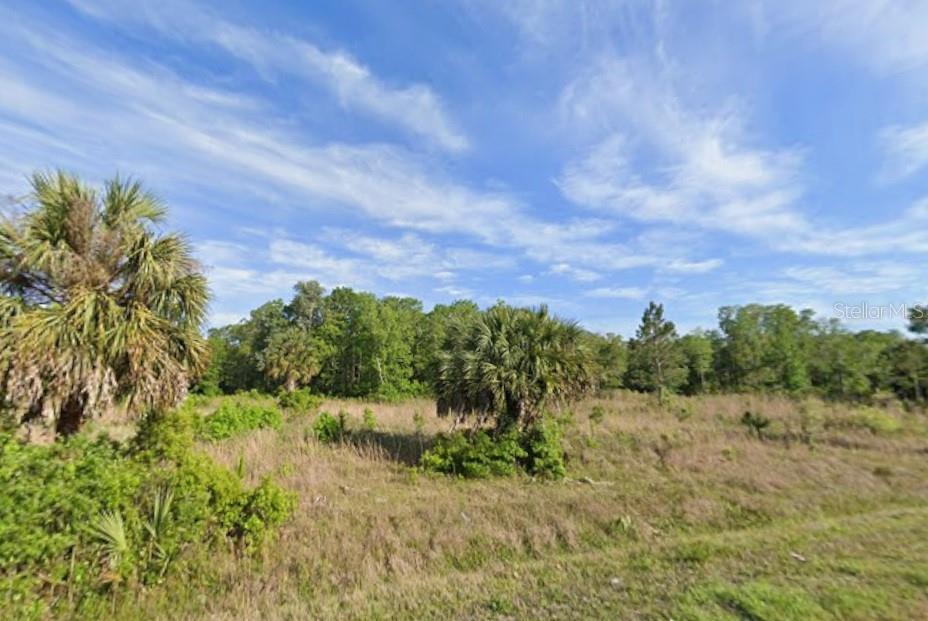 SW 712TH AVE, HORSESHOE BEACH, FL, 32648