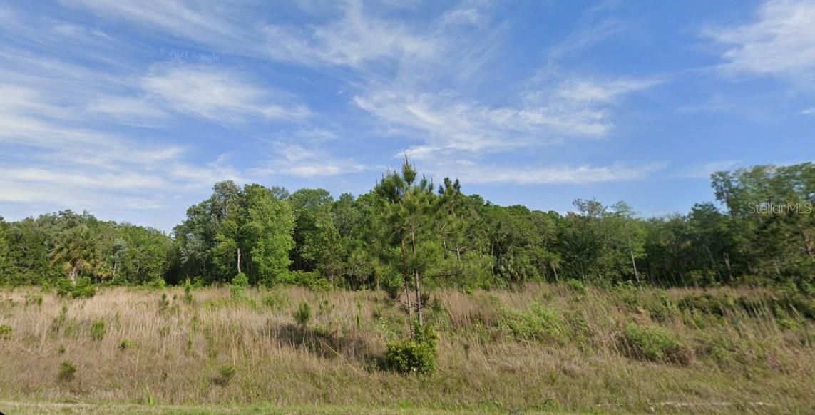 SW 712TH AVE, HORSESHOE BEACH, FL, 32648