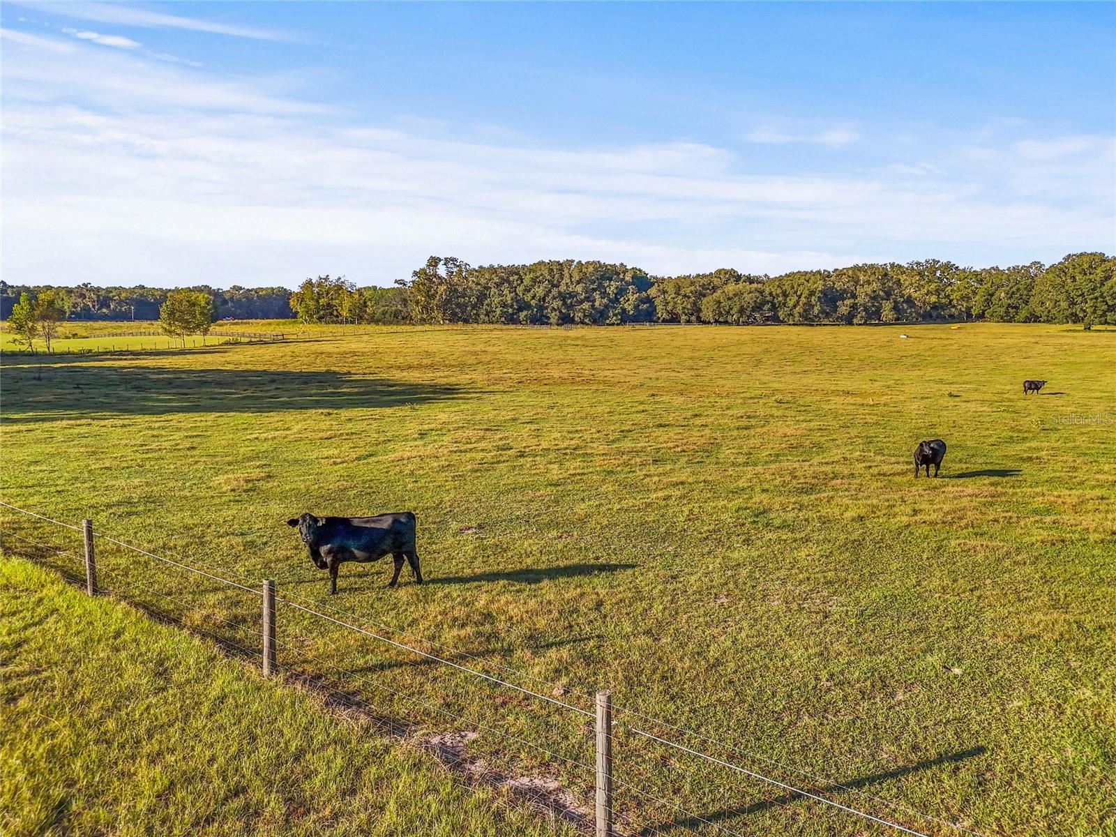 00 NW 232ND ST, HIGH SPRINGS, FL, 32643