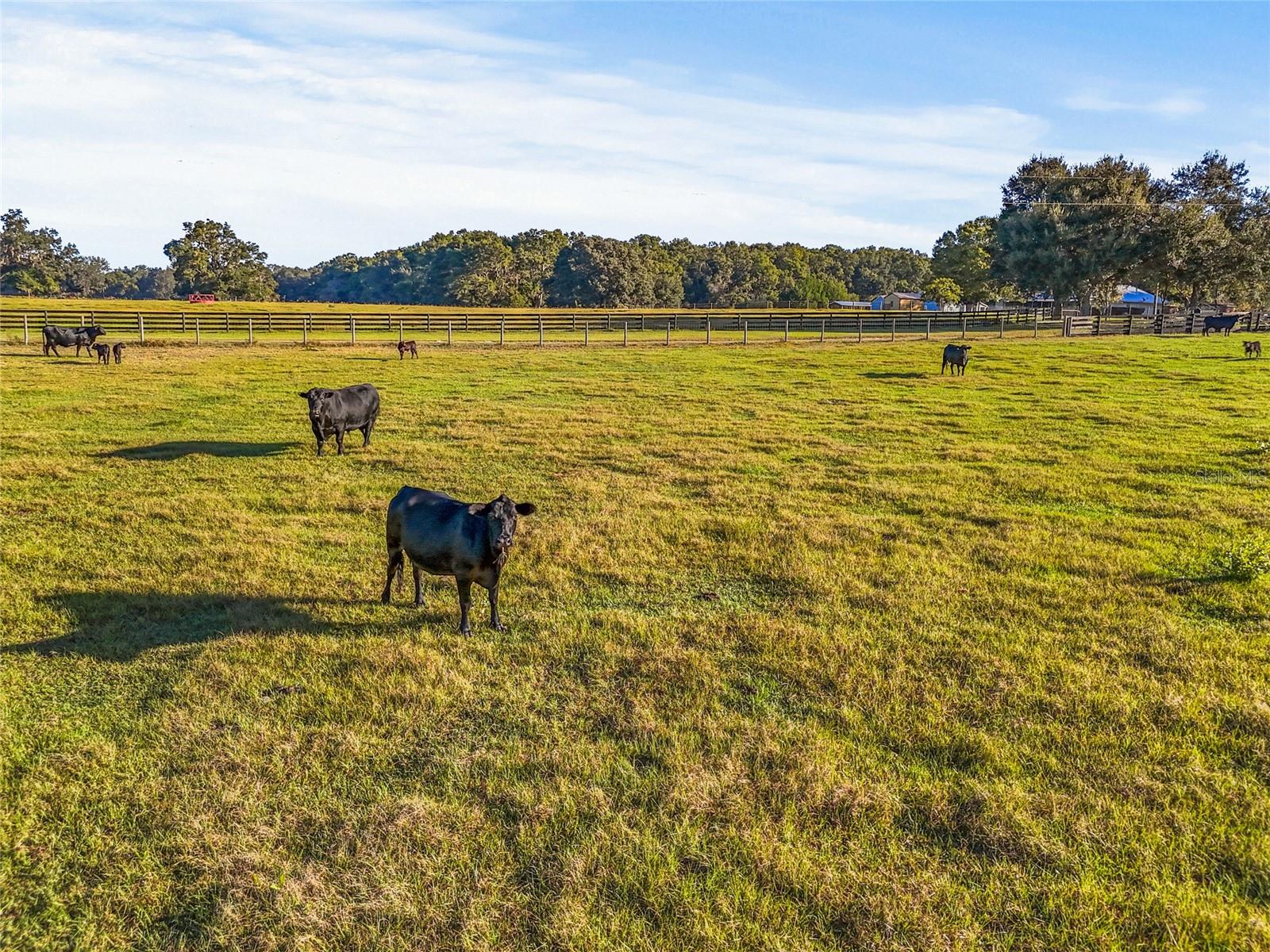 00 NW 232ND ST, HIGH SPRINGS, FL, 32643