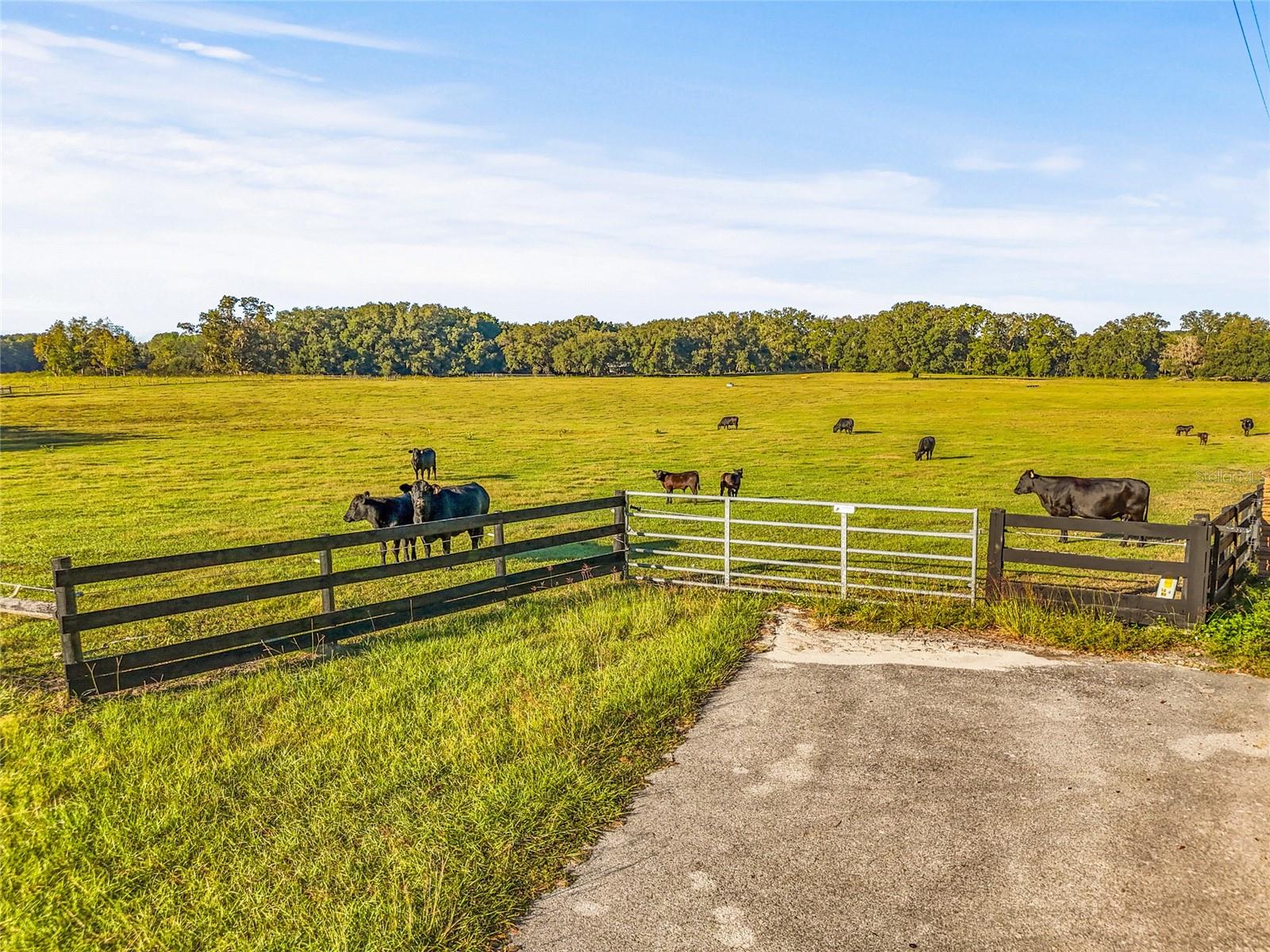 00 NW 232ND ST, HIGH SPRINGS, FL, 32643