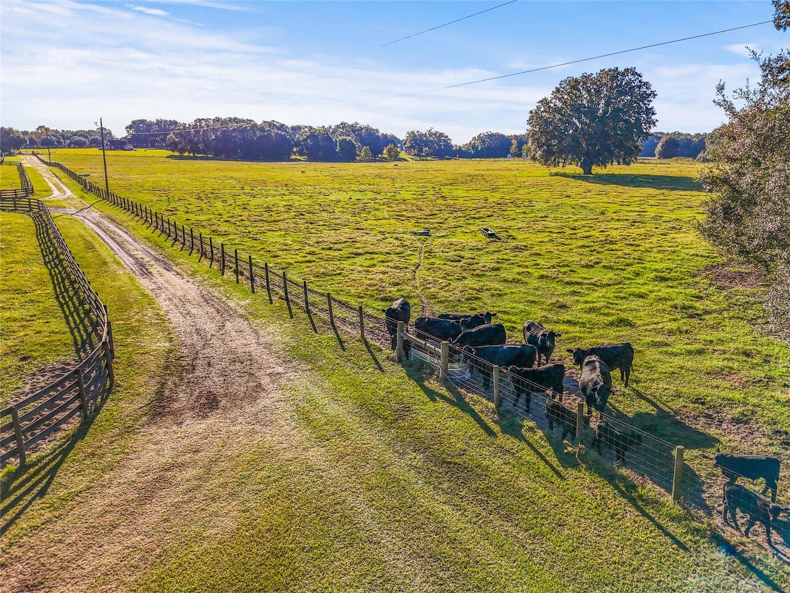 00 NW 232ND ST, HIGH SPRINGS, FL, 32643