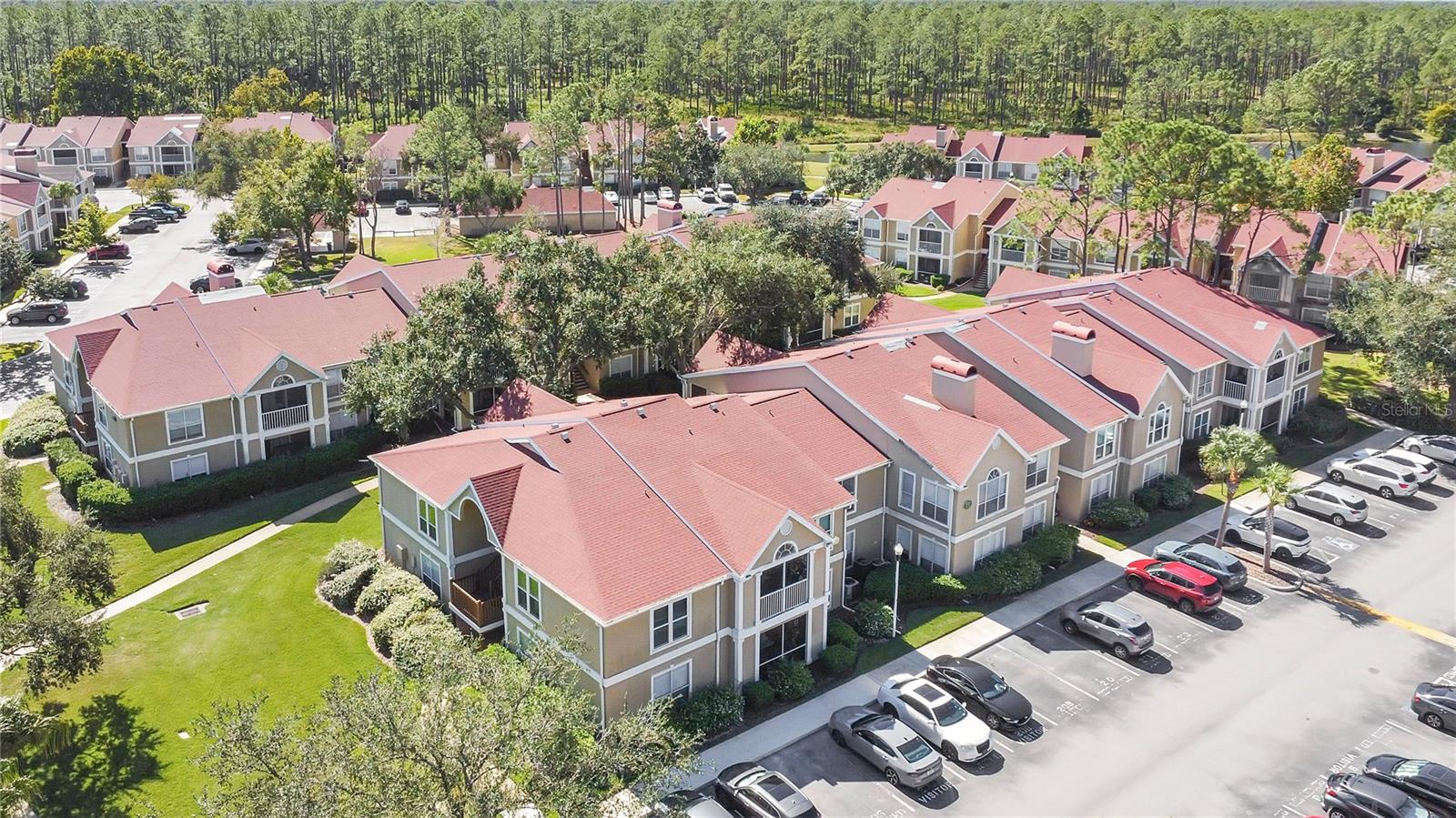 9481 HIGHLAND OAK DR #702, TAMPA, FL, 33647