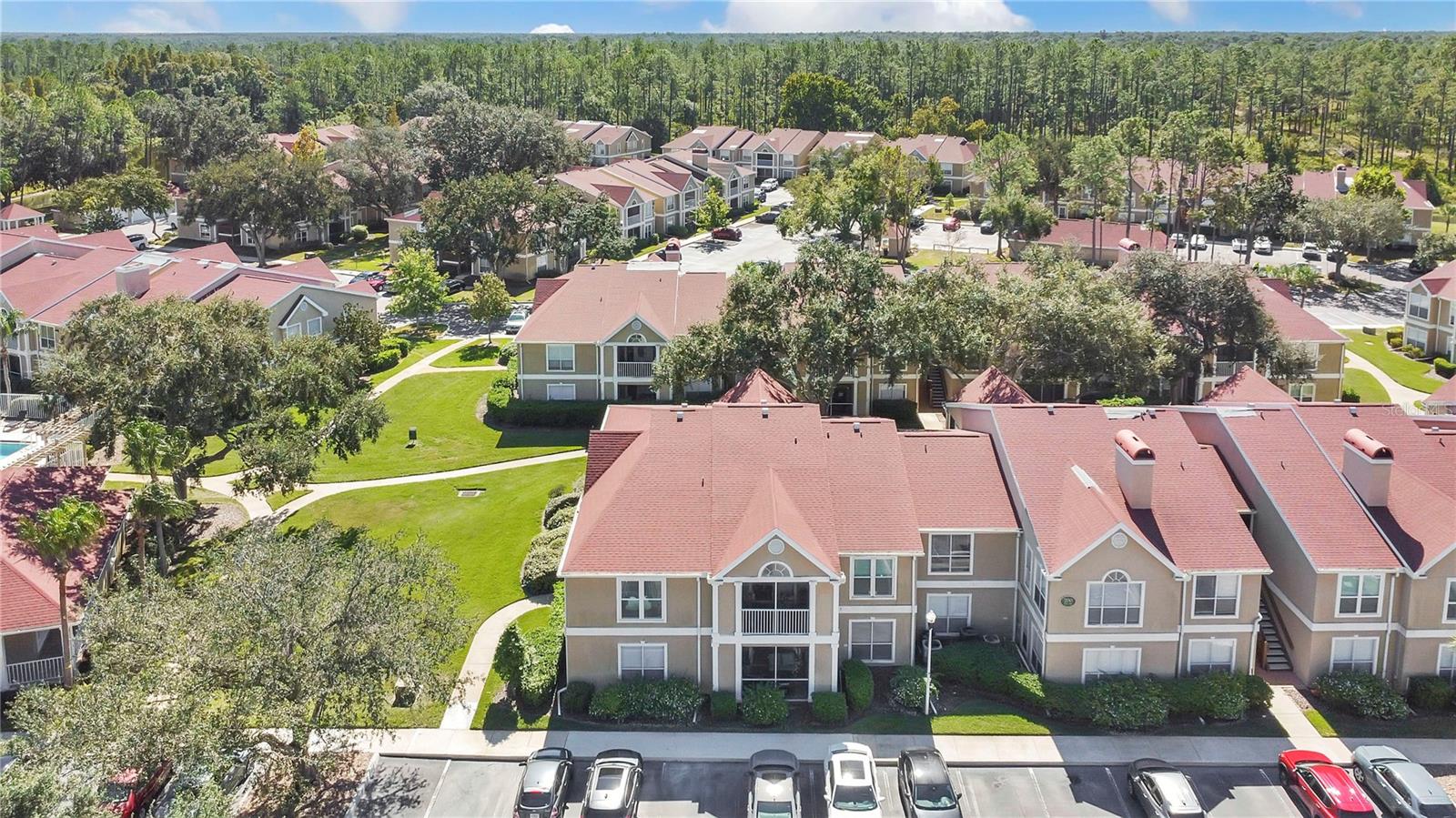 9481 HIGHLAND OAK DR #702, TAMPA, FL, 33647