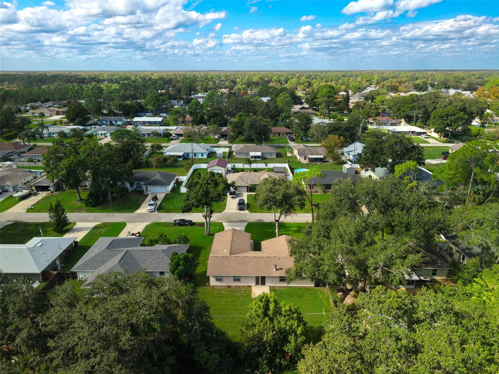 3311 NEEDLE PALM DR, EDGEWATER, FL, 32141