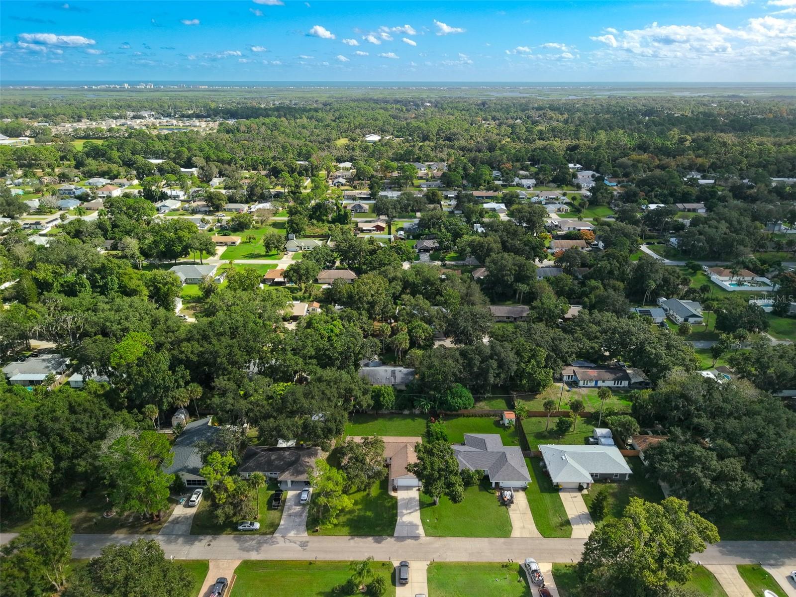 3311 NEEDLE PALM DR, EDGEWATER, FL, 32141