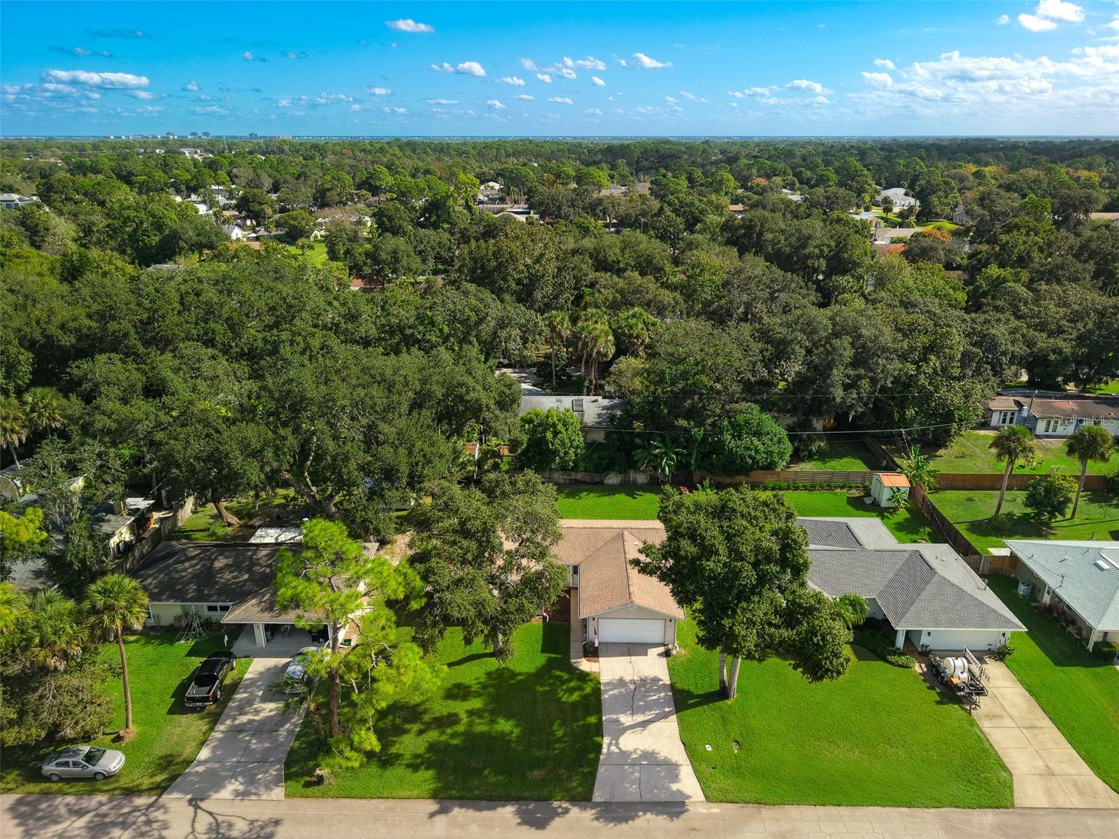 3311 NEEDLE PALM DR, EDGEWATER, FL, 32141