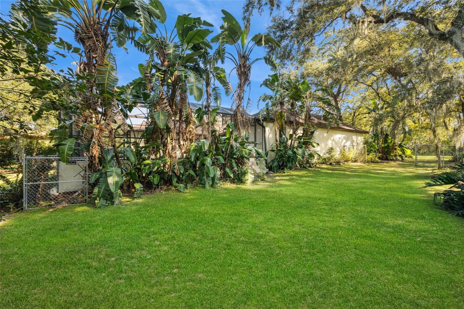 1260 LOG LANDING DR, OCOEE, FL, 34761