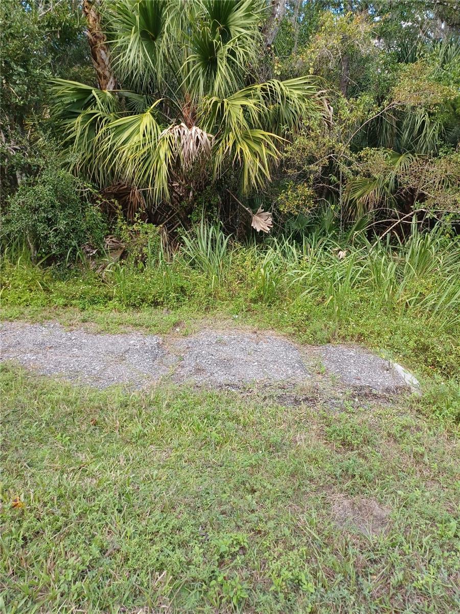 LAKE HARNEY RD, GENEVA, FL, 32732