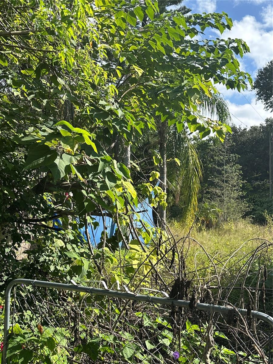 717 BOYD ST, KISSIMMEE, FL, 34744