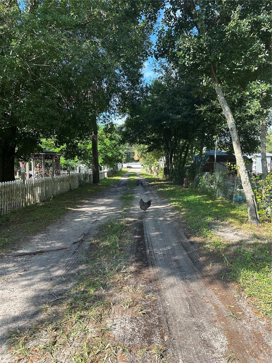 717 BOYD ST, KISSIMMEE, FL, 34744