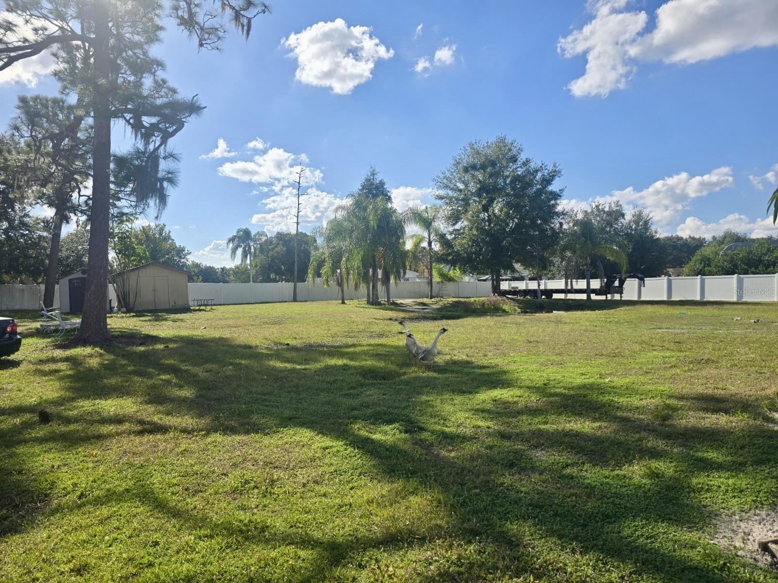 2500 PINE NEEDLE TRL, KISSIMMEE, FL, 34746