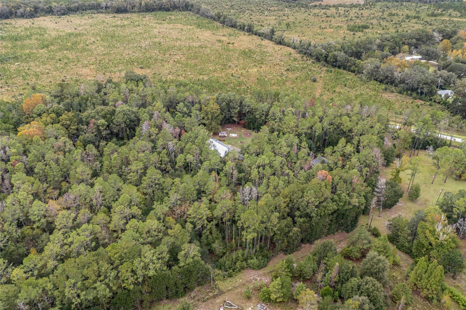 GRASSY LAKE ESTATES, ARCHER, FL, 32618