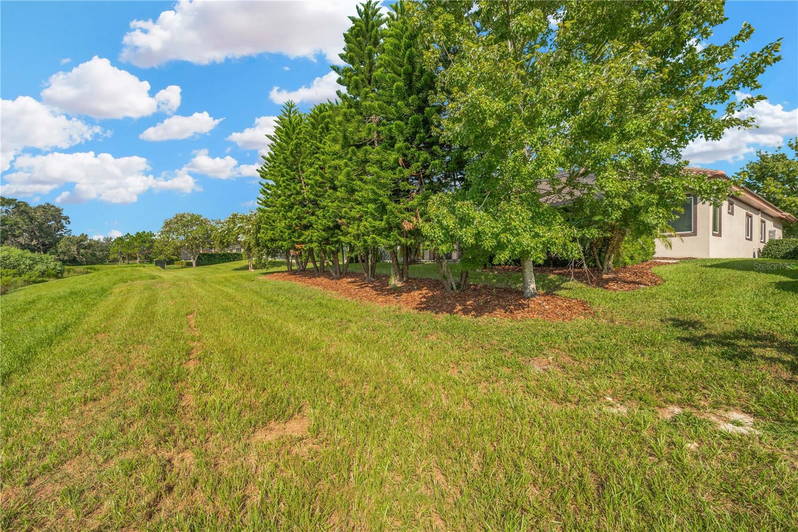 6008 WATERCOLOR DR, LITHIA, FL, 33547