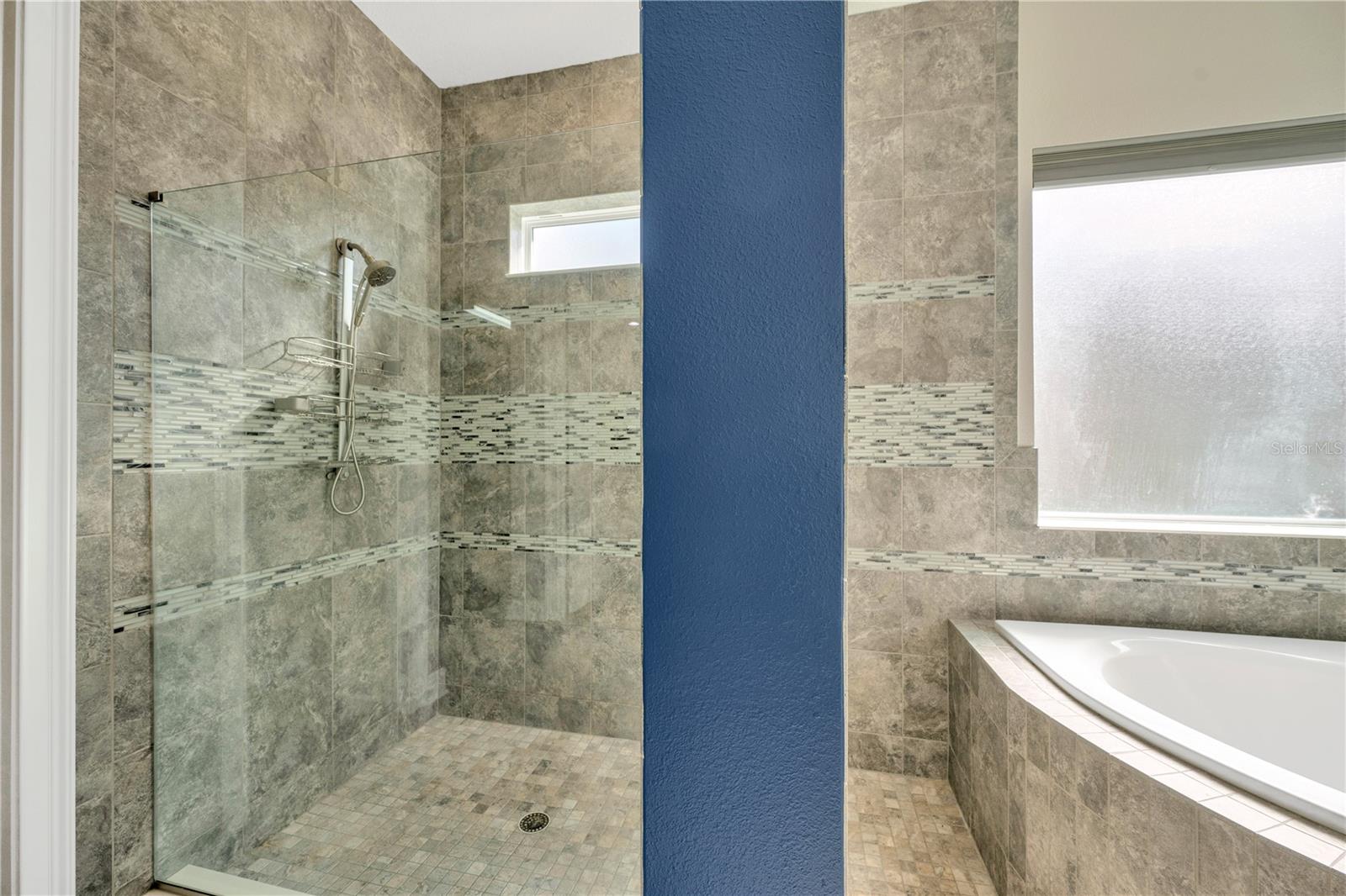 6008 WATERCOLOR DR, LITHIA, FL, 33547