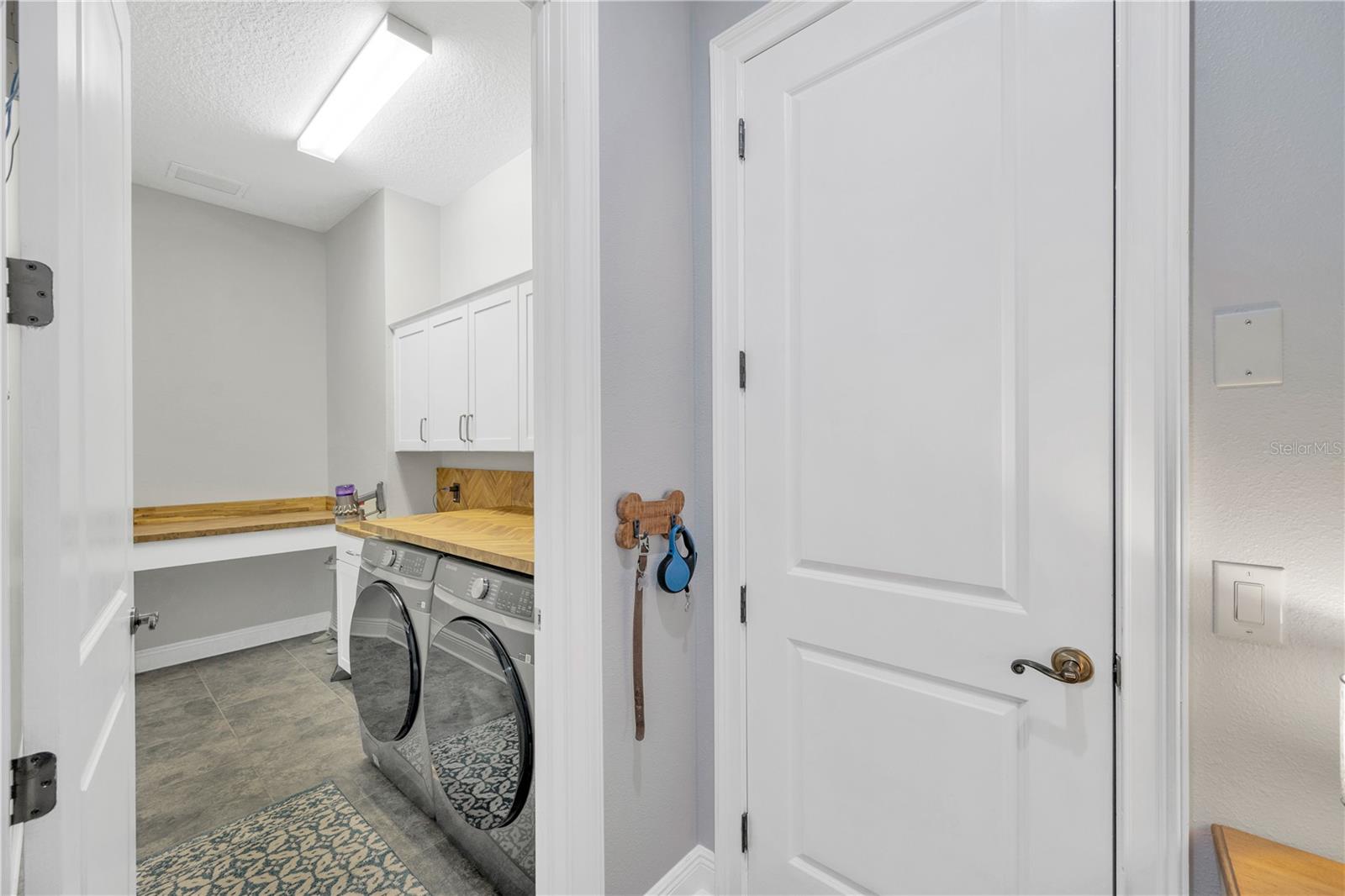 6008 WATERCOLOR DR, LITHIA, FL, 33547