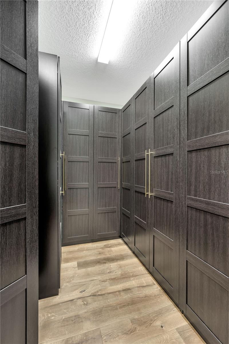 6008 WATERCOLOR DR, LITHIA, FL, 33547