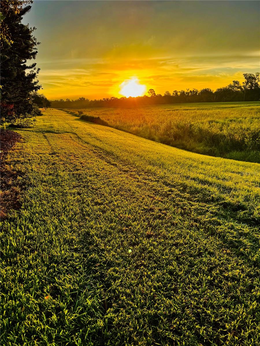 6008 WATERCOLOR DR, LITHIA, FL, 33547