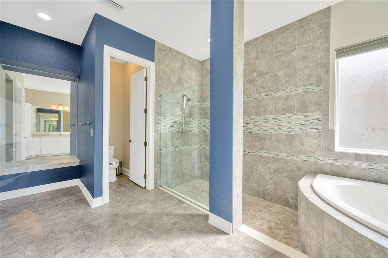 6008 WATERCOLOR DR, LITHIA, FL, 33547