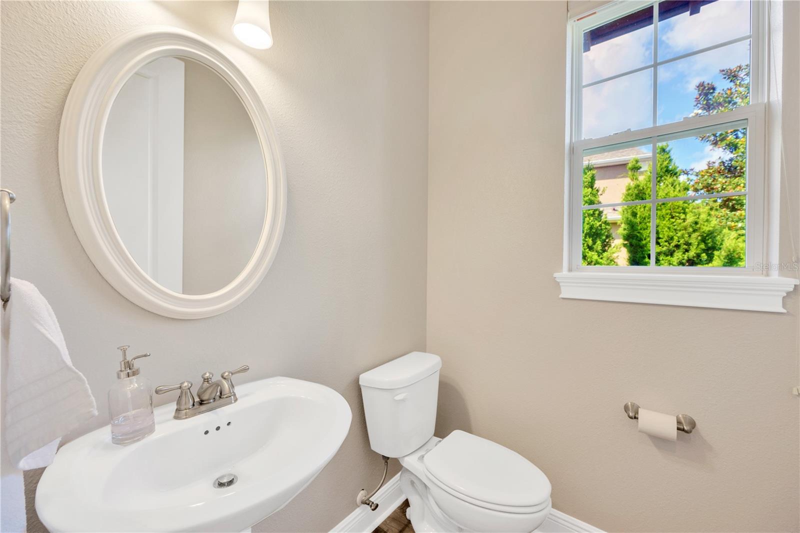 6008 WATERCOLOR DR, LITHIA, FL, 33547