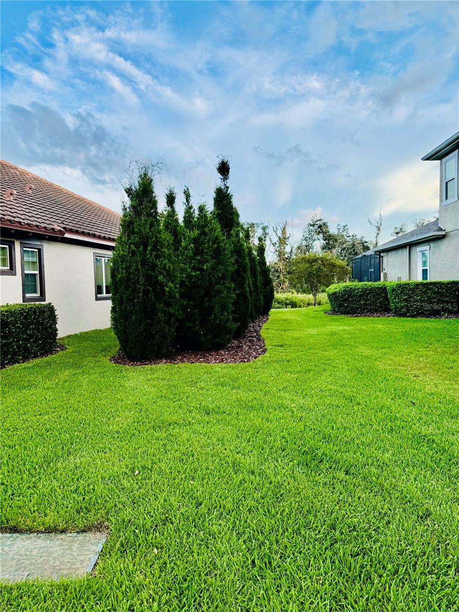 6008 WATERCOLOR DR, LITHIA, FL, 33547