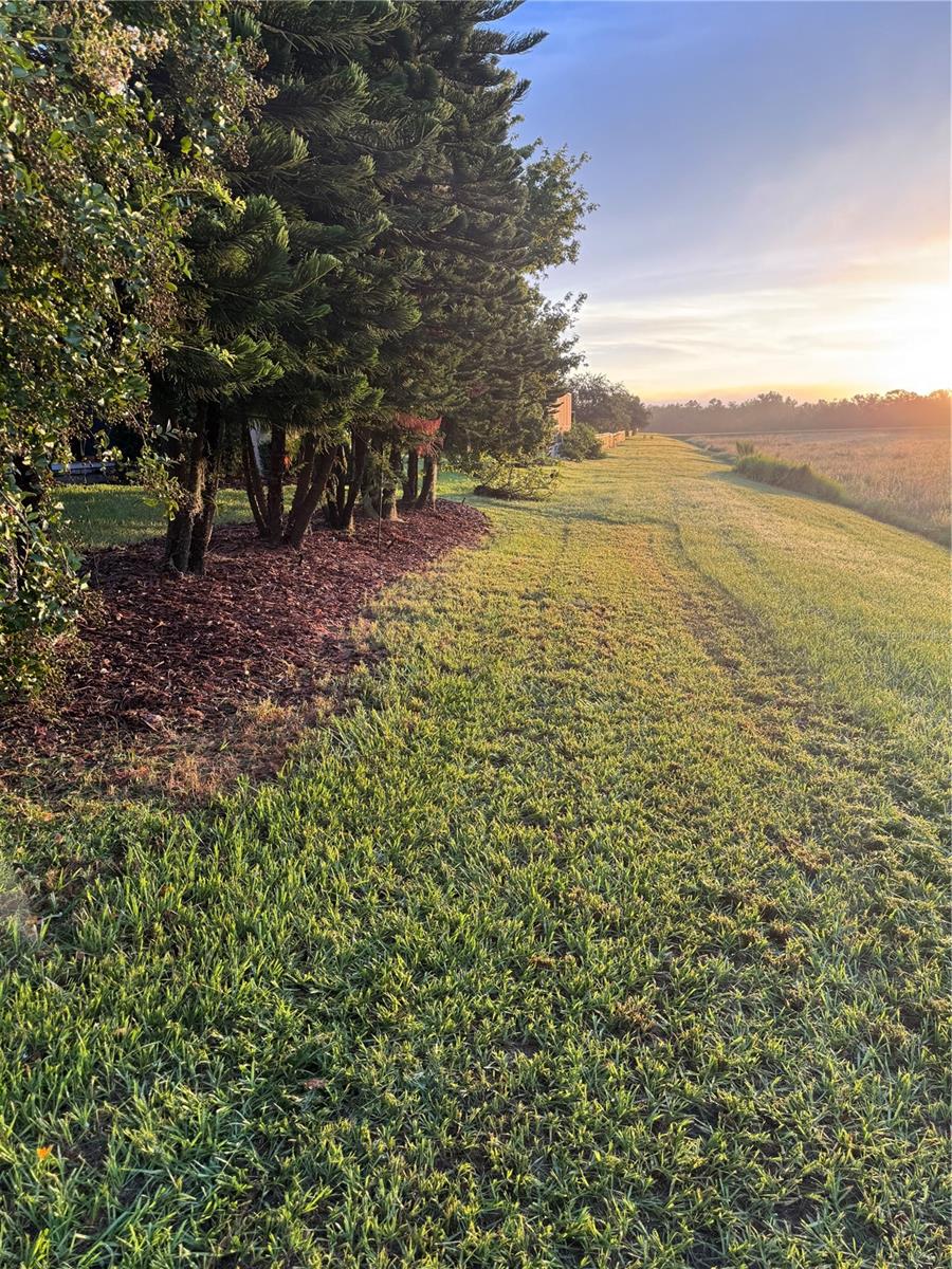 6008 WATERCOLOR DR, LITHIA, FL, 33547