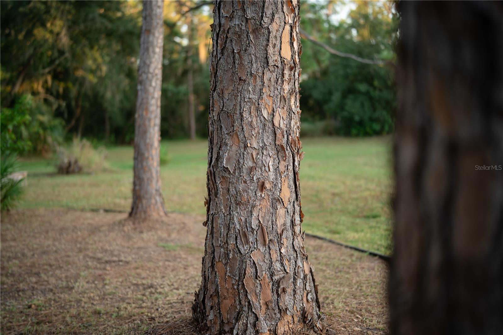 A4670128 Property Photo