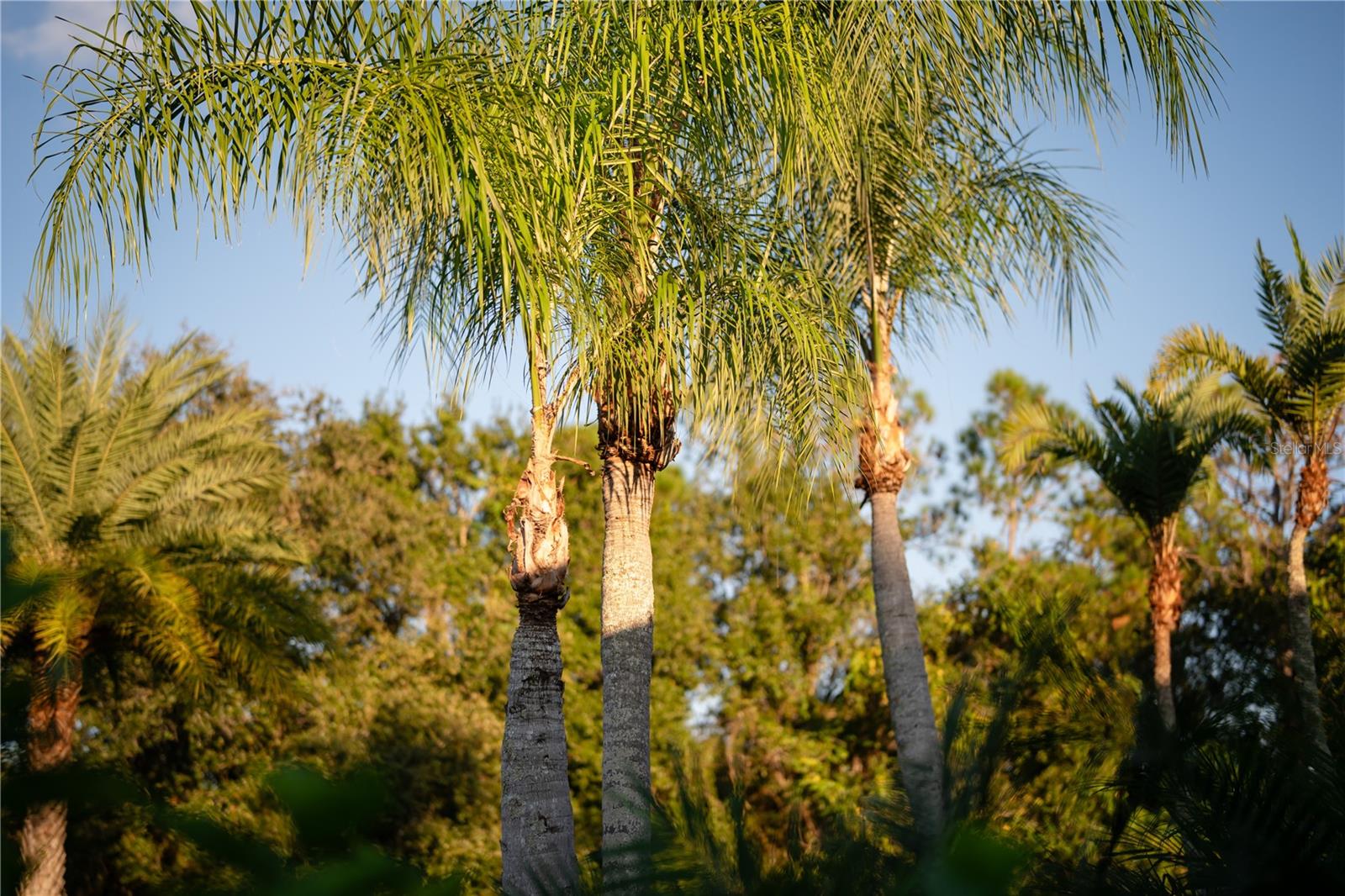 A4670128 Property Photo