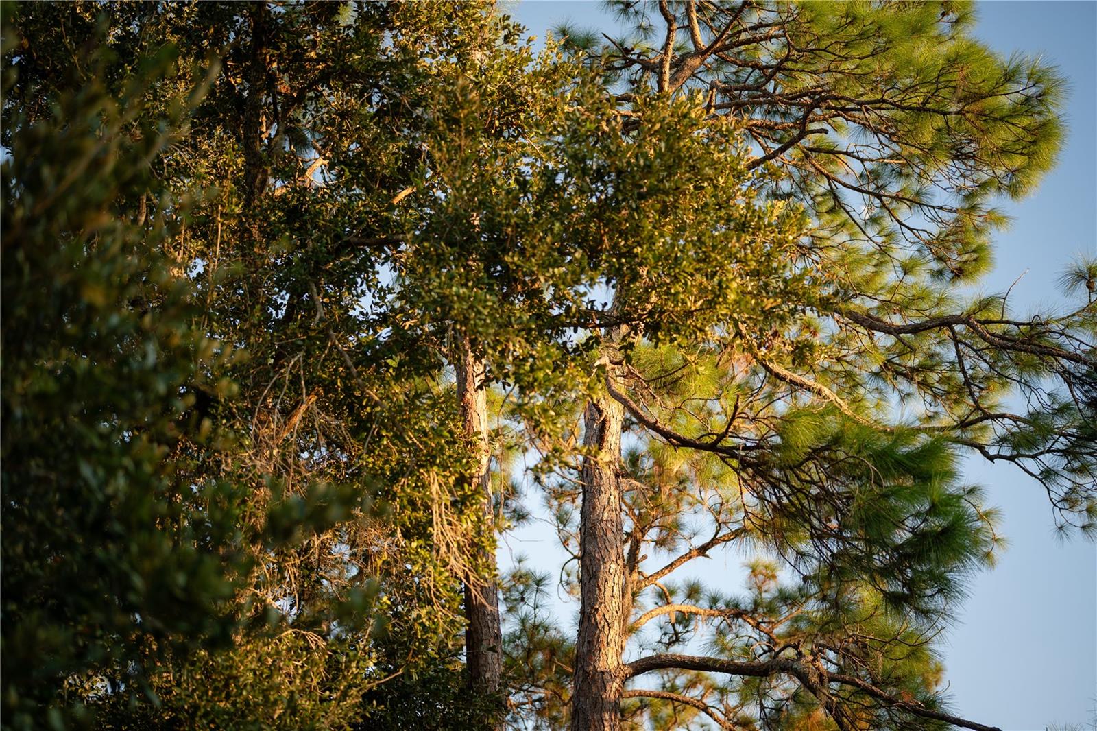 A4670128 Property Photo