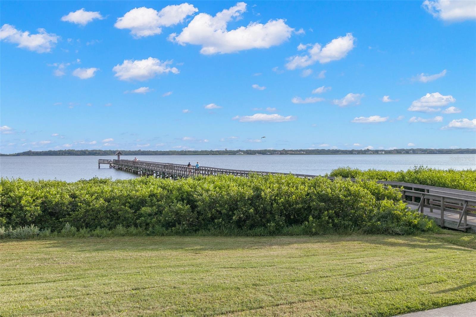 503 PARK BLVD, OLDSMAR, FL, 34677