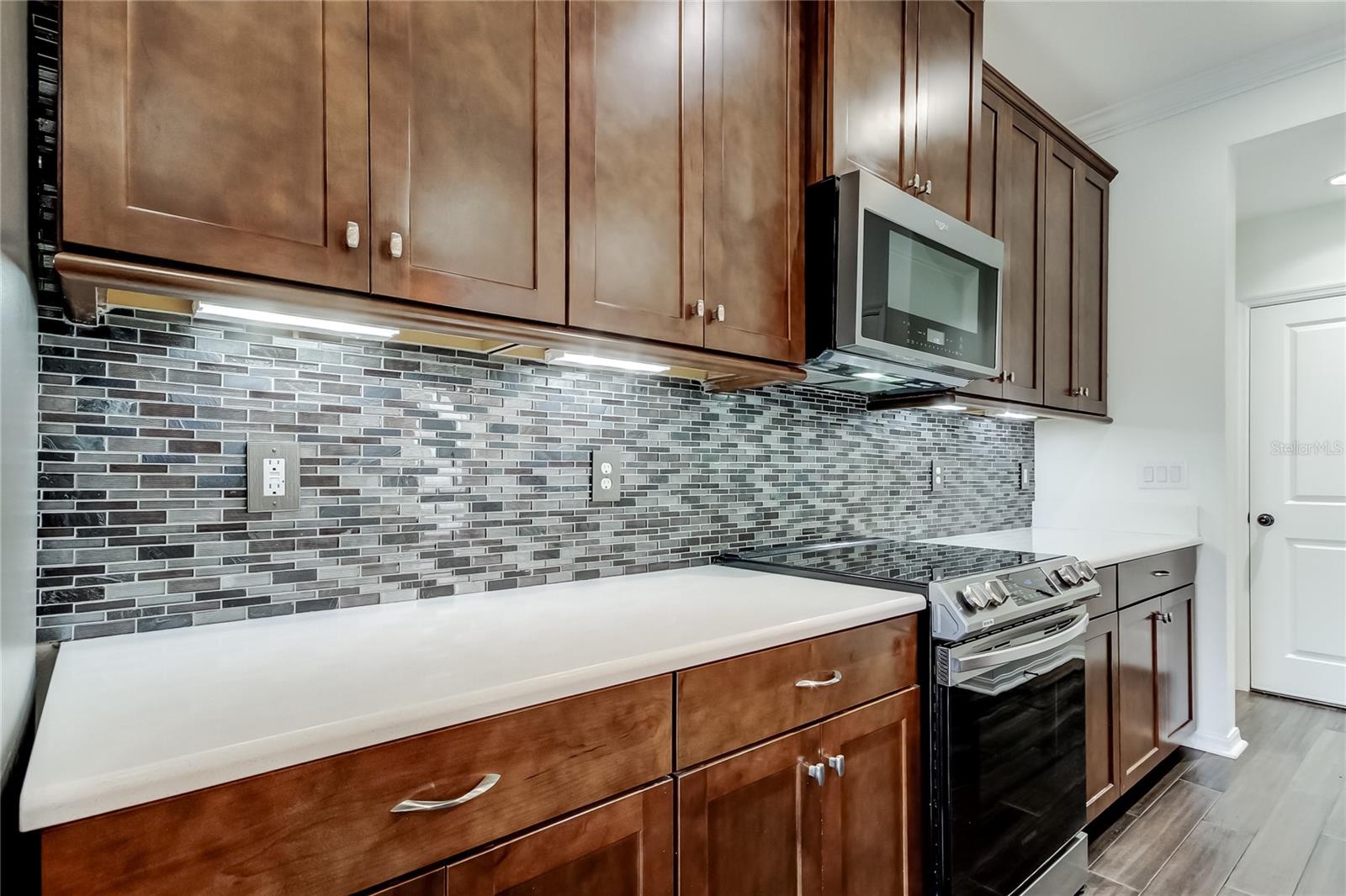 12315 BAYOU FLATS LN, TAMPA, FL, 33635