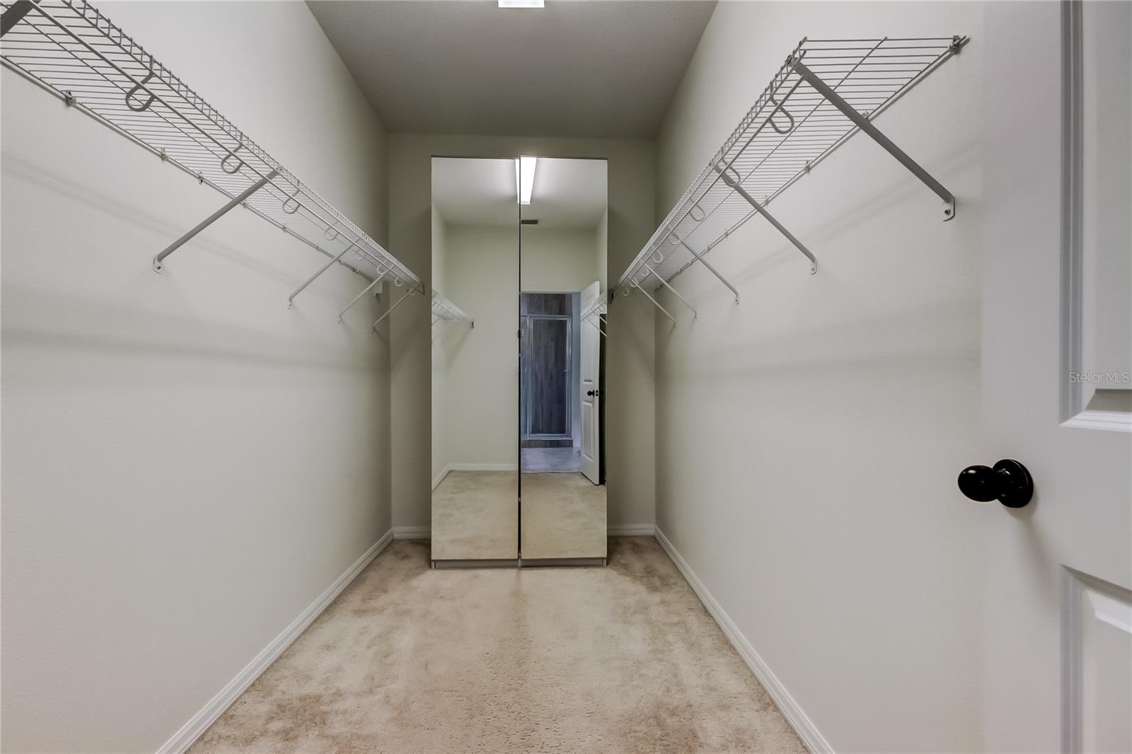 12315 BAYOU FLATS LN, TAMPA, FL, 33635