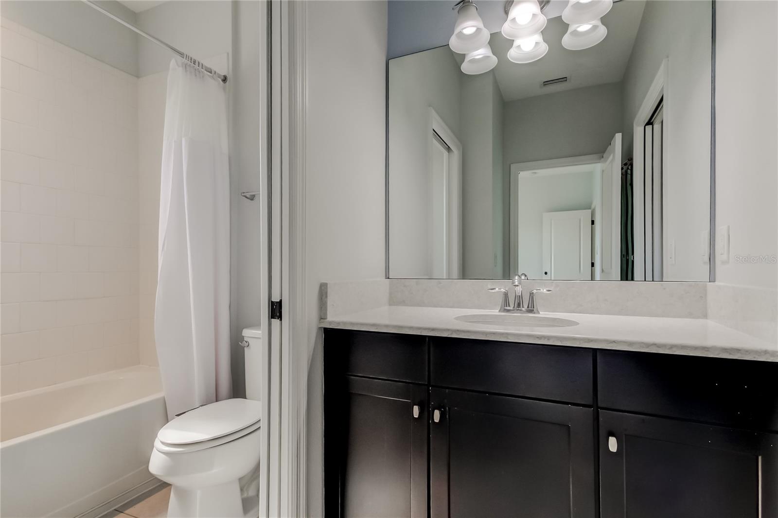 12315 BAYOU FLATS LN, TAMPA, FL, 33635