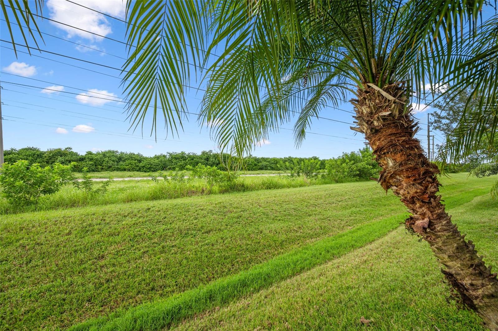 3664 GURRERO DR, MELBOURNE, FL, 32940