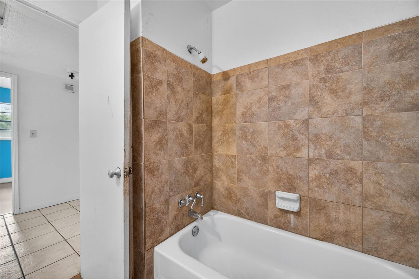 207 W BOUGAINVILLEA AVE, TAMPA, FL, 33612