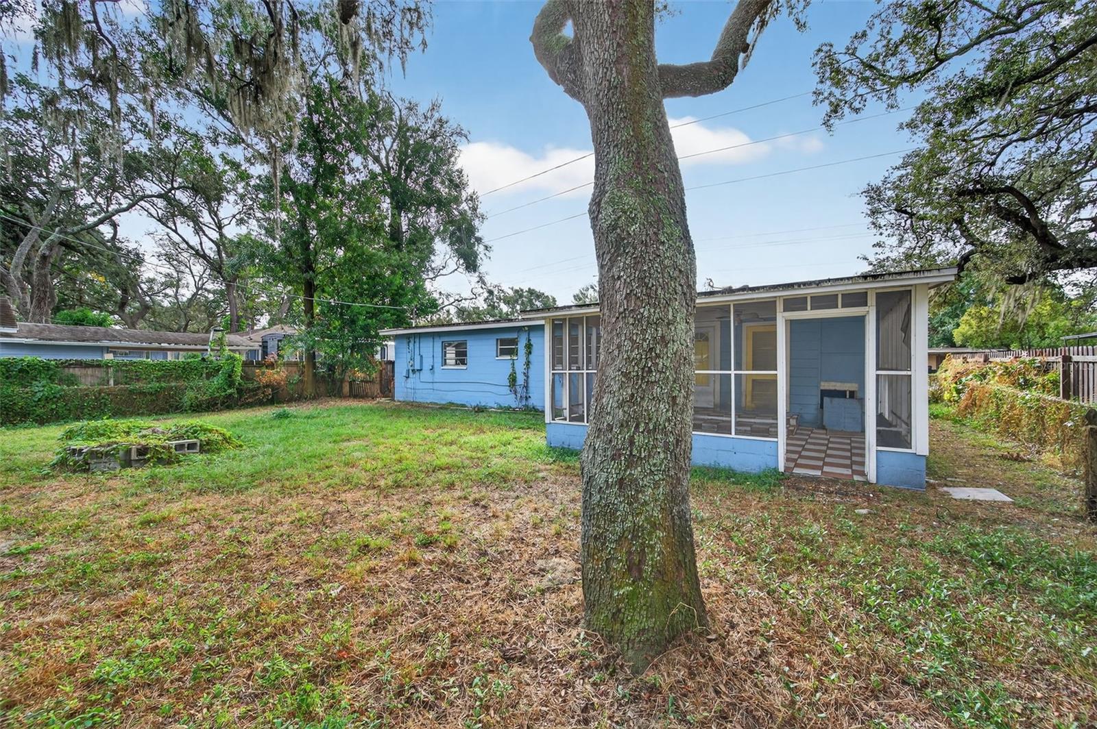 207 W BOUGAINVILLEA AVE, TAMPA, FL, 33612