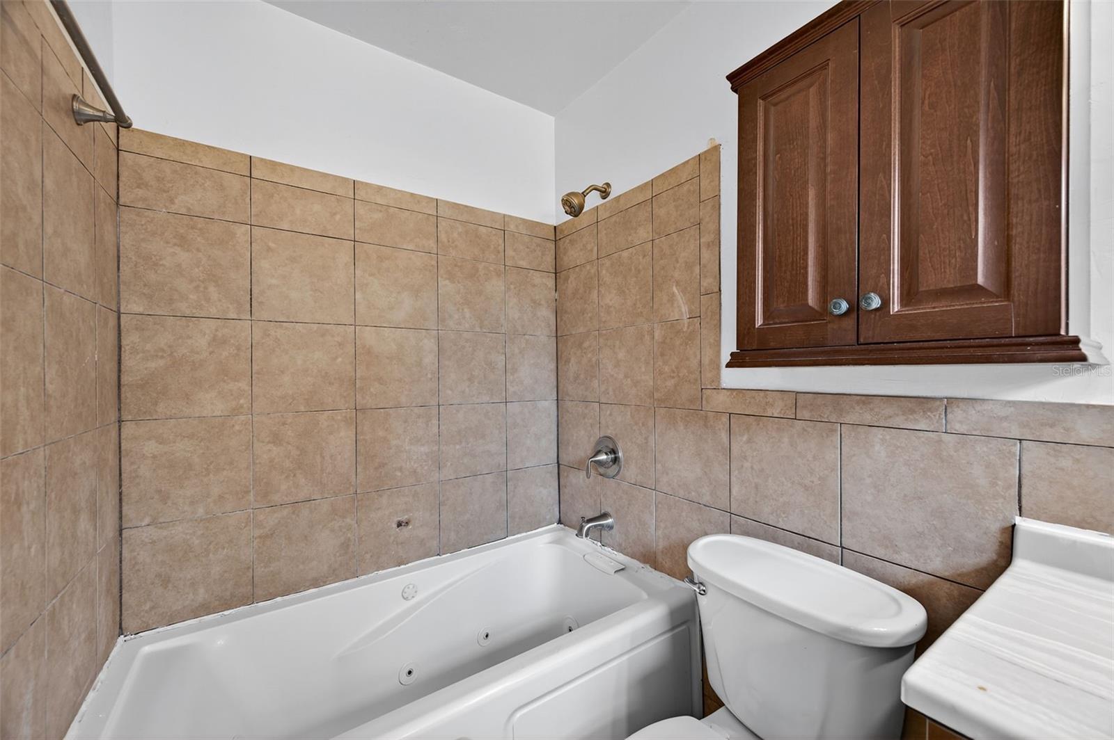 207 W BOUGAINVILLEA AVE, TAMPA, FL, 33612