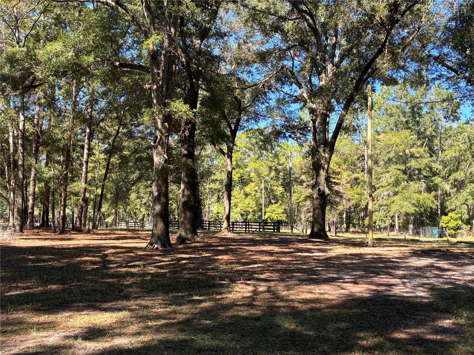 19582 NW 212TH ST, HIGH SPRINGS, FL, 32643